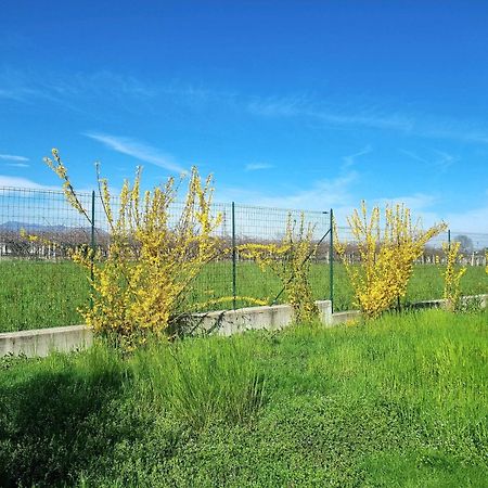 Cascina La Demilana Bed and Breakfast Bibiana Εξωτερικό φωτογραφία