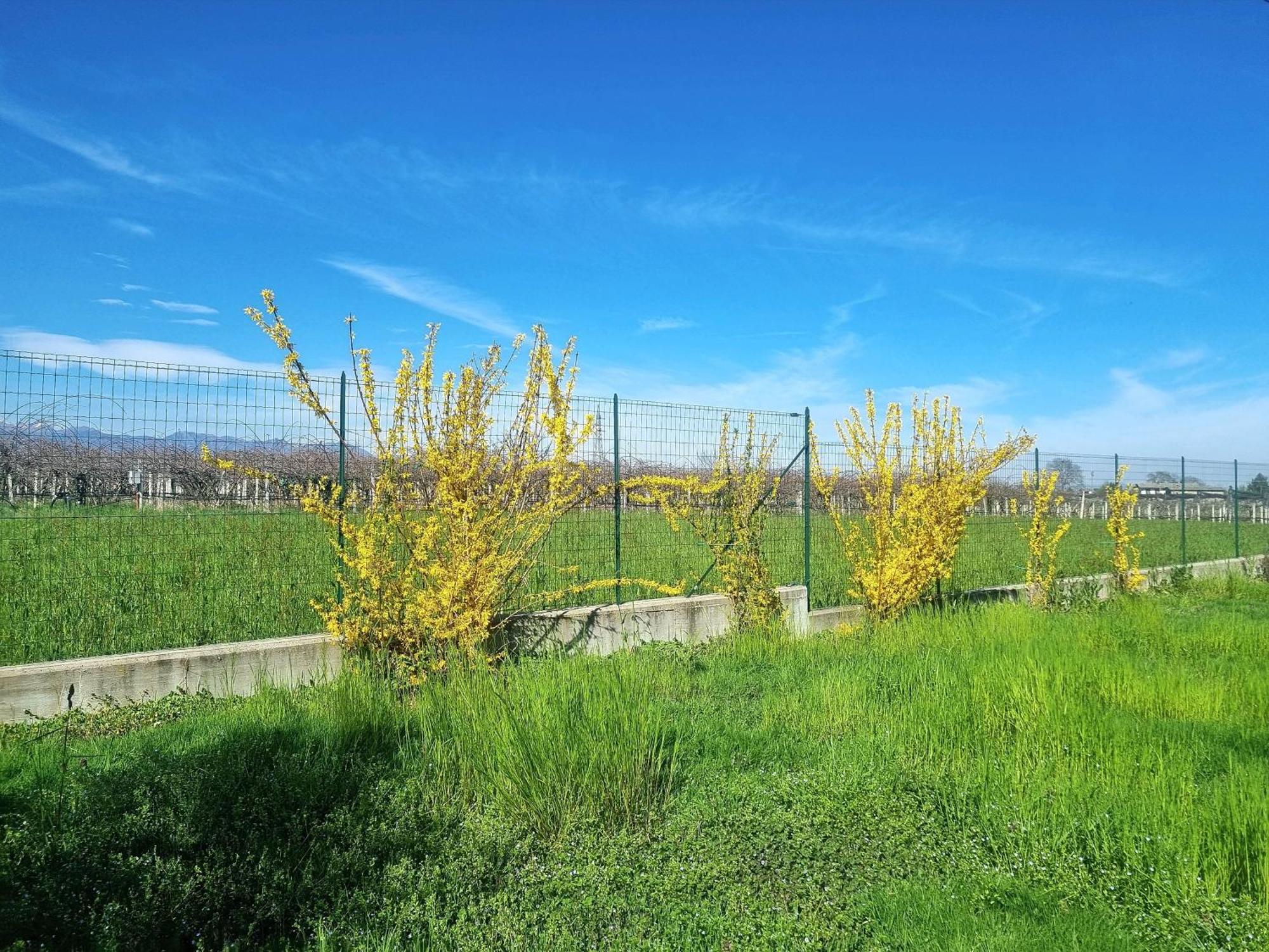 Cascina La Demilana Bed and Breakfast Bibiana Εξωτερικό φωτογραφία